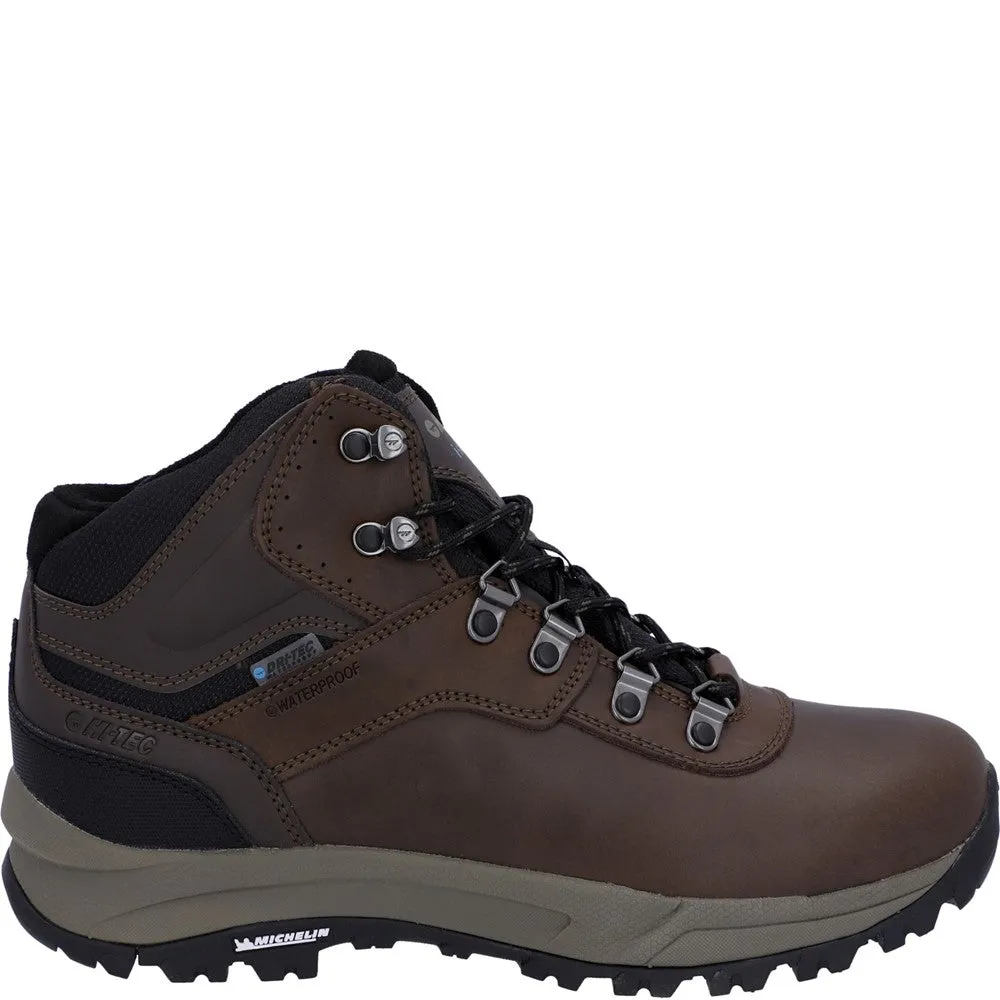 Mens Altitude VI Boots